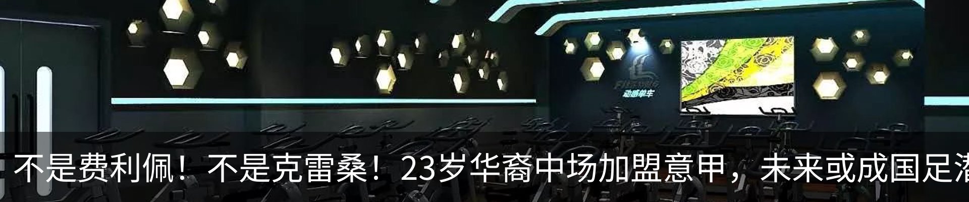 新闻动态
