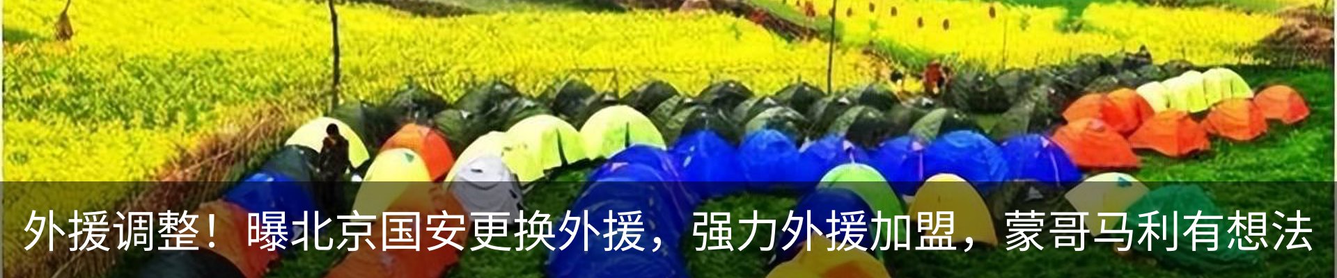 新闻动态