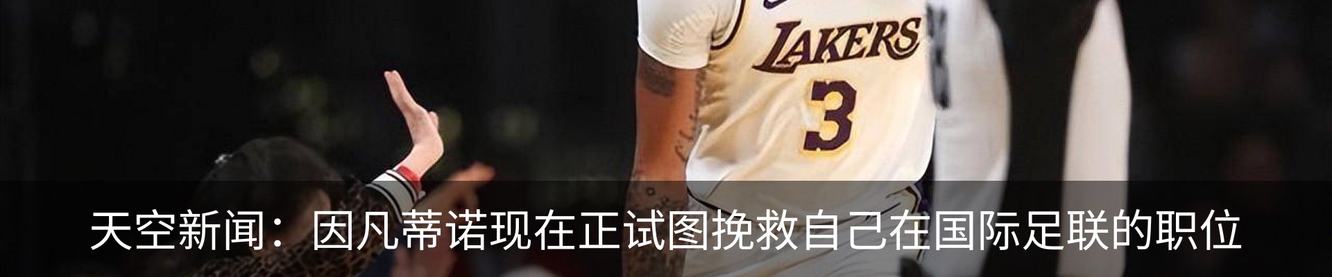 新闻动态