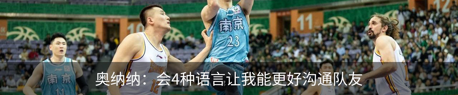 新闻动态