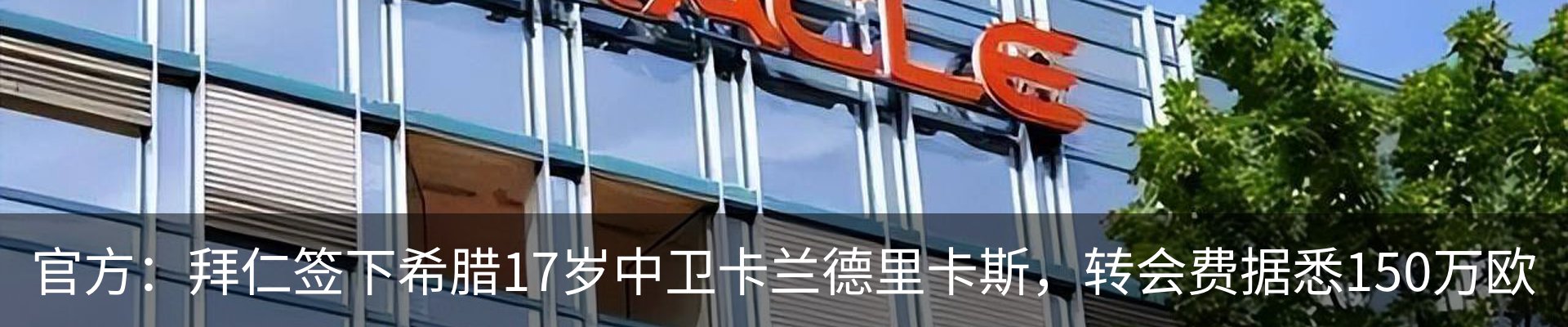 新闻动态