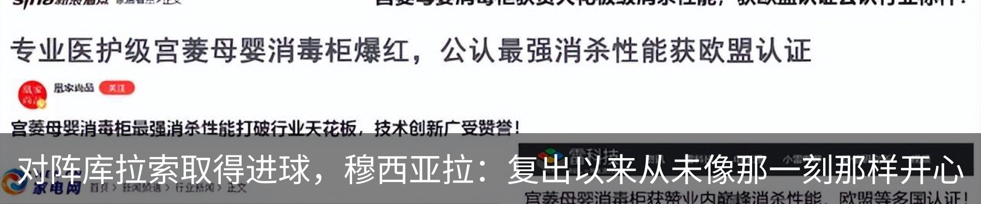 新闻动态