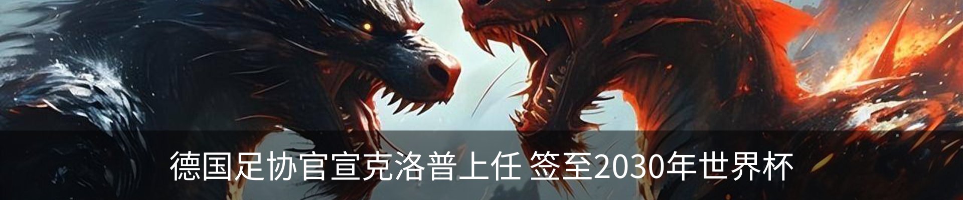 新闻动态