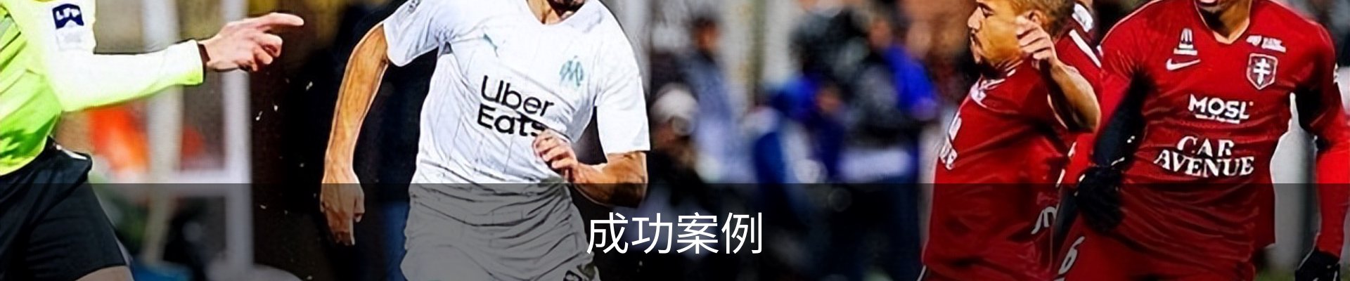 成功案例