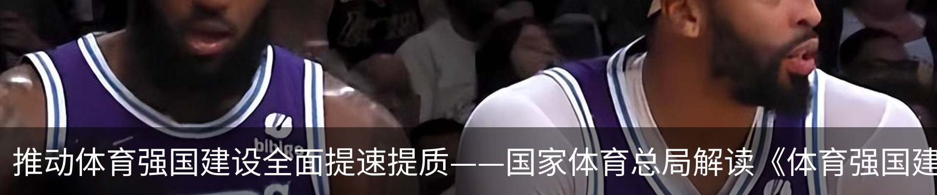 新闻动态