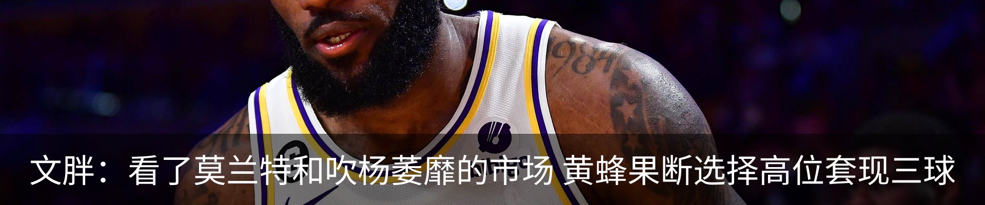 新闻动态