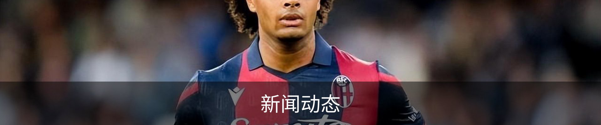 新闻动态