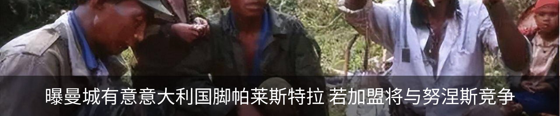 新闻动态
