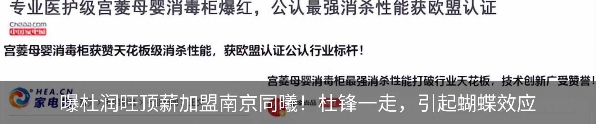 新闻动态