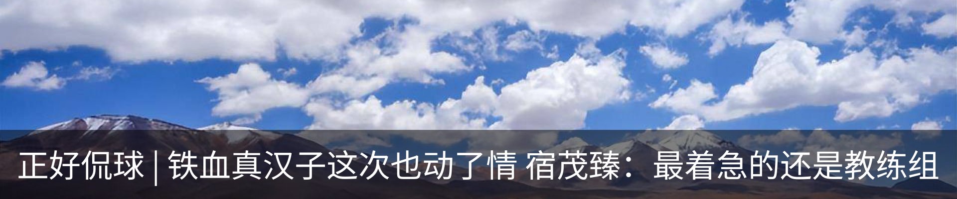 新闻动态
