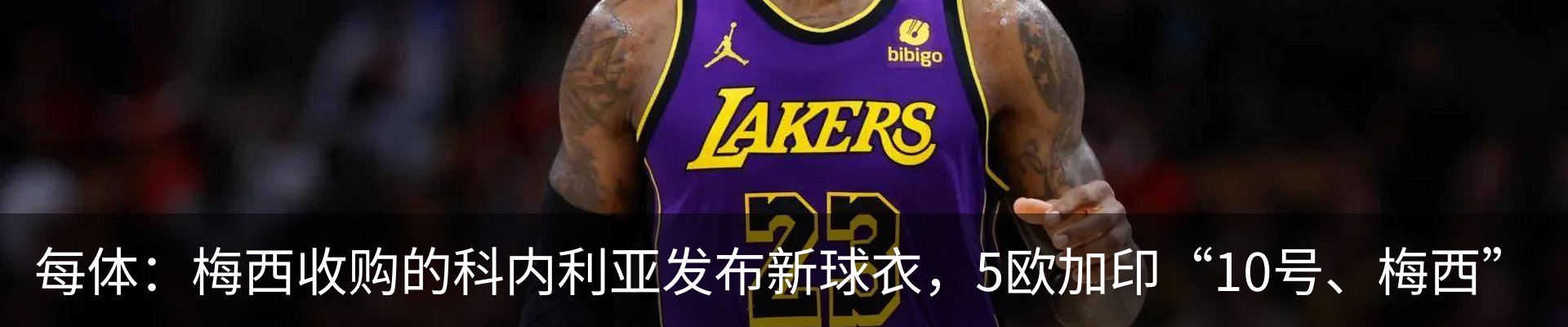 新闻动态