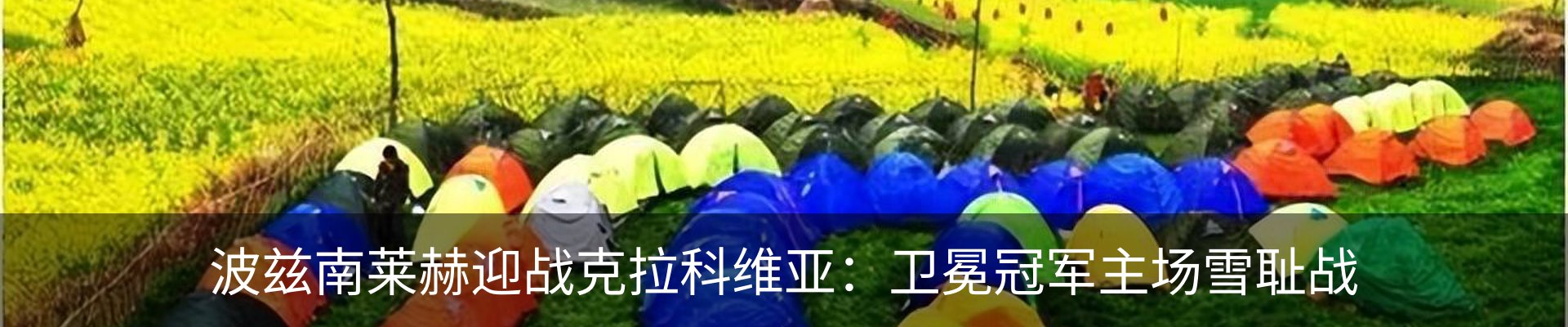 新闻动态