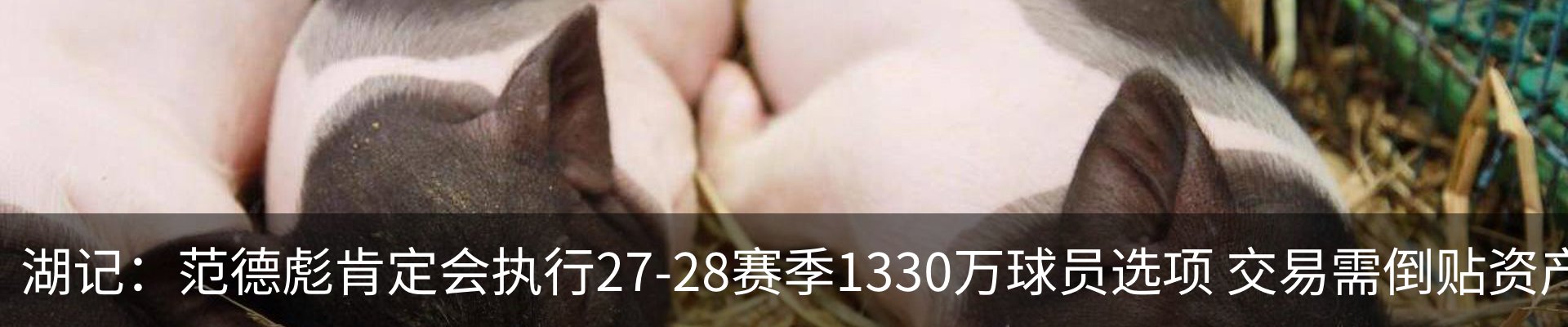 新闻动态