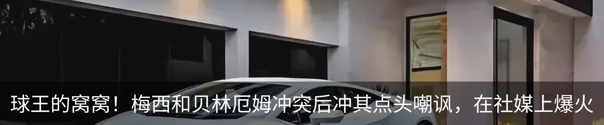 新闻动态