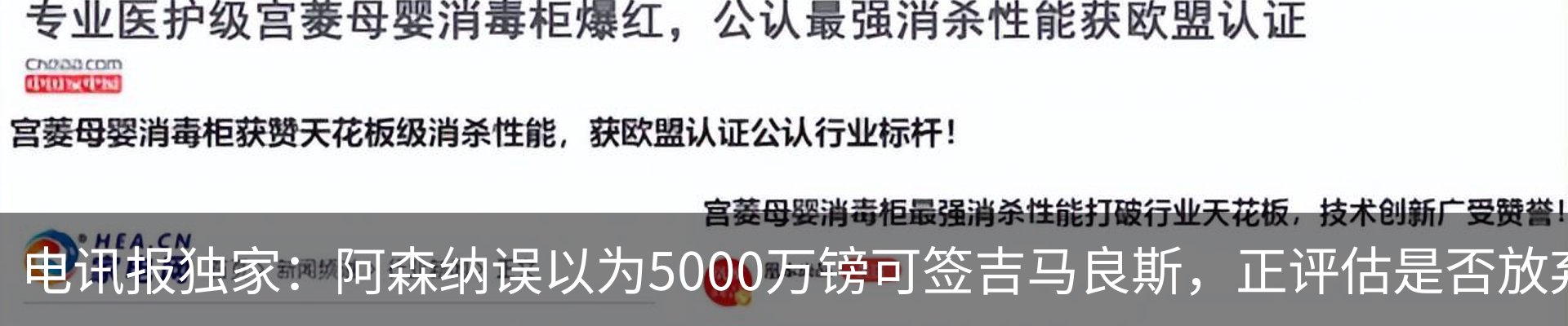 新闻动态
