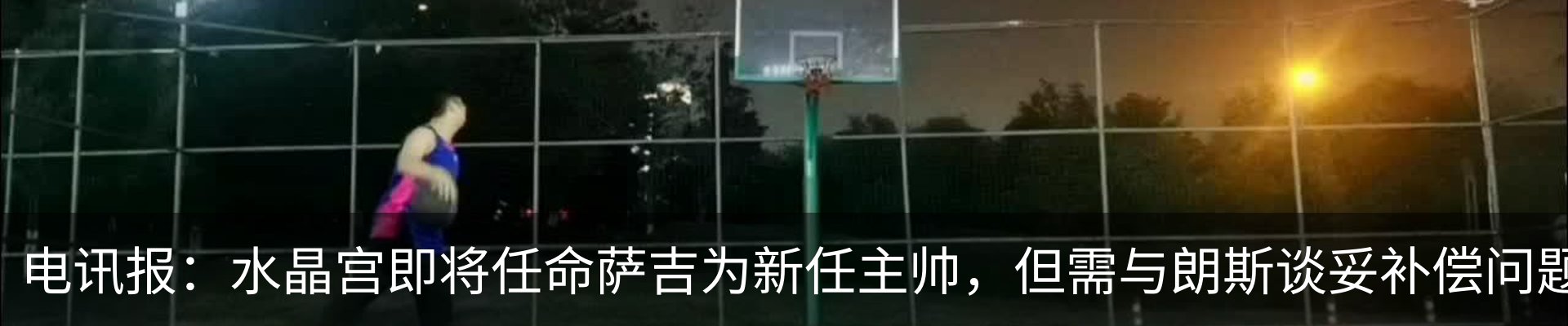 新闻动态