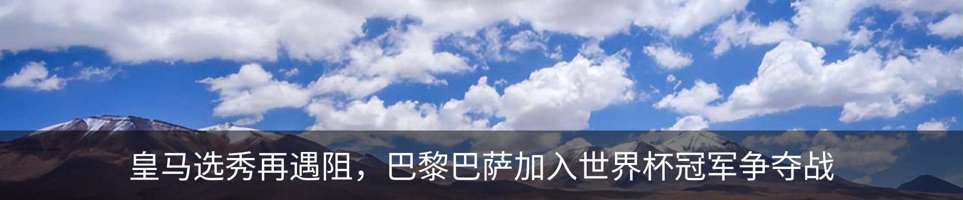 新闻动态