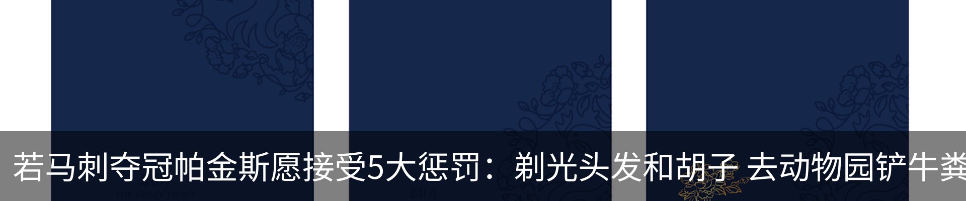 新闻动态