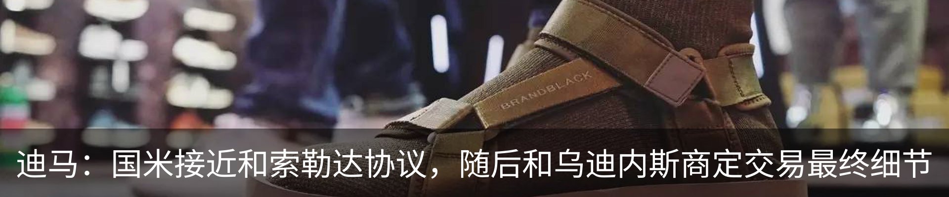 新闻动态