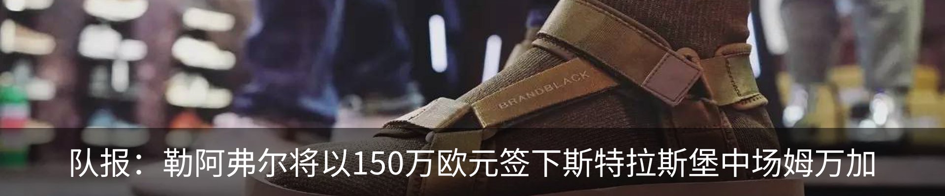 新闻动态