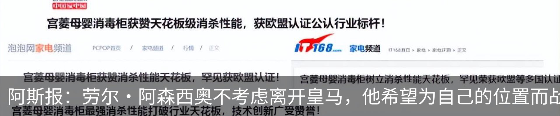 新闻动态