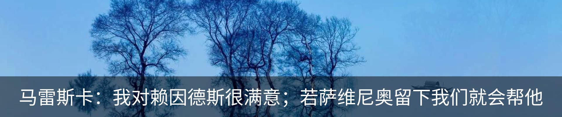 新闻动态