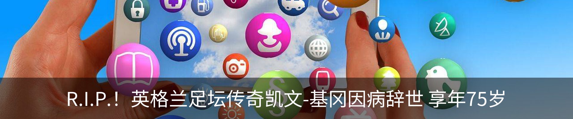 新闻动态