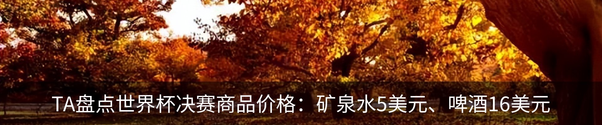 新闻动态