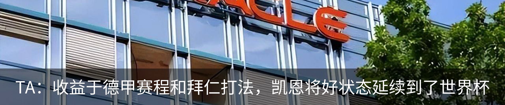新闻动态