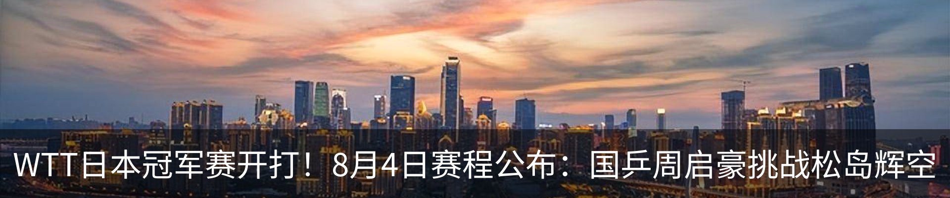 新闻动态